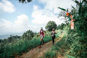 BIB: 
                            <button type="button" onclick="openModal(26050658)" class="btn btn-primary btn-sm float-right btn-popup" data-toggle="modal" data-target=".modal-high-quality">
                        <i class="fas fa-shopping-cart"></i> Add to Cart
                    </button>
                                            <button type="button" onclick="isThisMe(26050658, true)" class="btn btn-success btn-sm float-right btn-popup btn-isme hidden" data-toggle="tooltip" data-placement="bottom" title="นี่คือรูปของคุณใช่ไหม คลิกที่นี่เพื่อเอาเข้าอัลบั้ม">
                        <i class="fas fa-plus"></i> Add to album
                    </button>
                    <button type="button" onclick="isThisMe(26050658, false)" class="btn btn-warning btn-sm float-right btn-popup btn-isnotme hidden">
                        <i class="fas fa-ban"></i> Remove from album
                    </button>